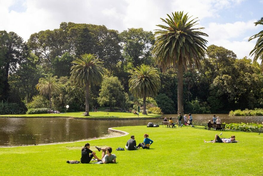 Tranquil scene of trees and lawn surrounding a lake.