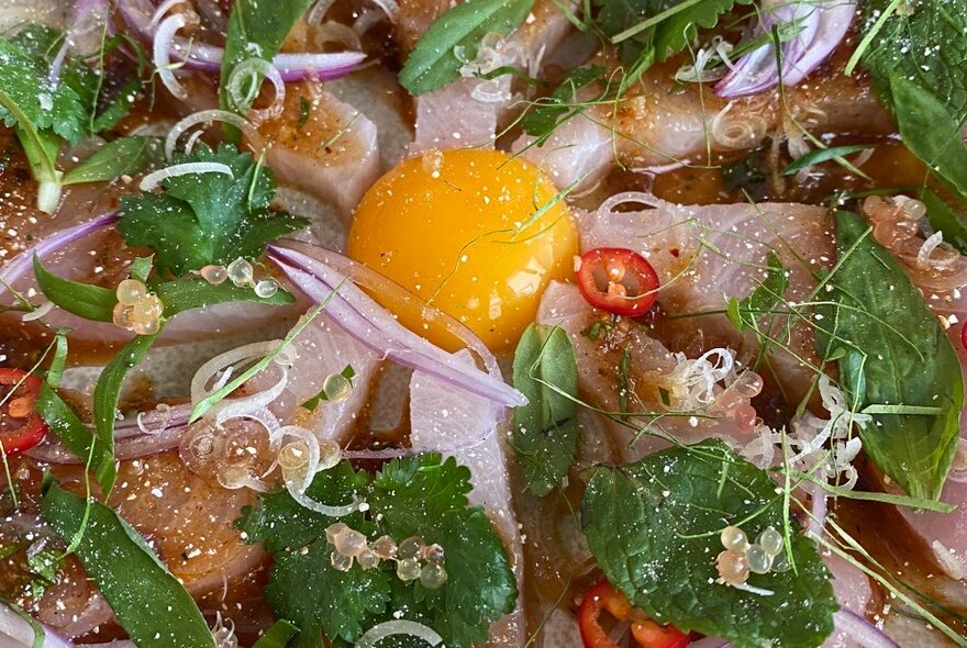A Thai-style dish with a raw egg yolk in the centre, surrounded by strips of raw fish and chilli, red onion and coriander garnish.