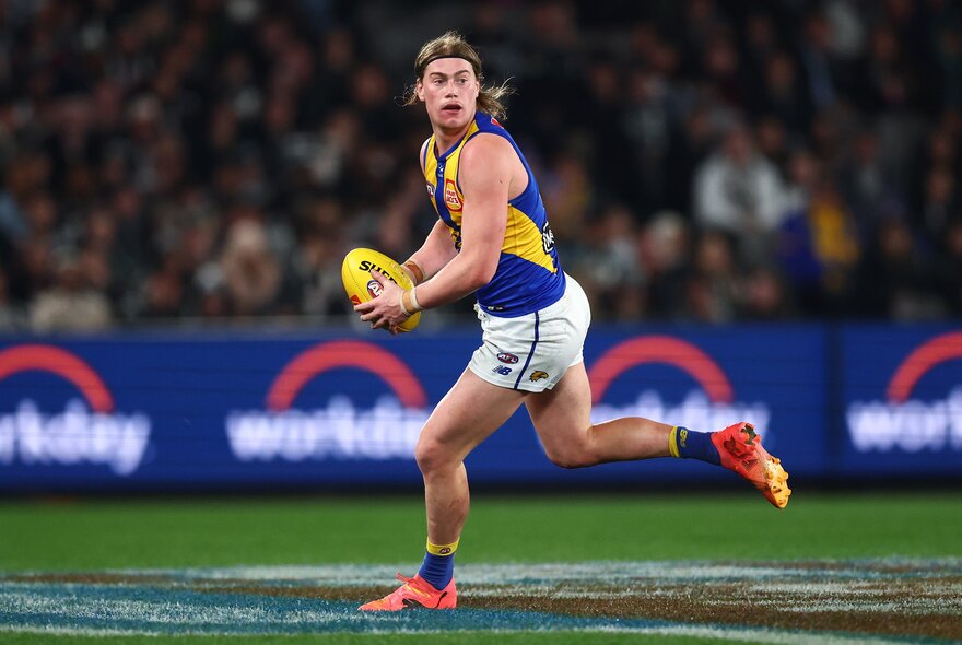 West Coast Eagles AFL football player on the field during a match.