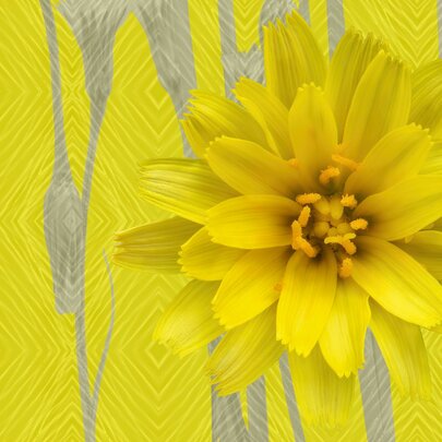 RISING: Flower Power