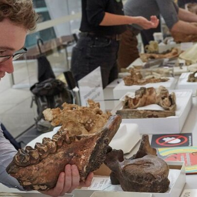 A children speaking to an adult holding a large fossil, at a table displaying museum exhibits.