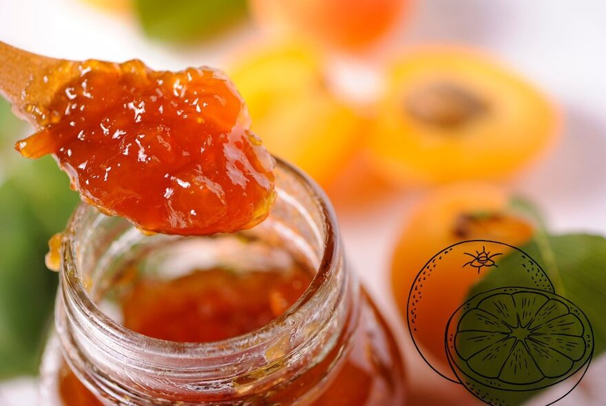A spoon of marmalade being lifted out of a glass jar.