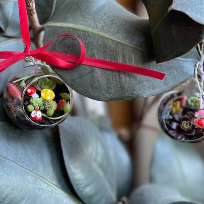 Living Terrarium Baubles