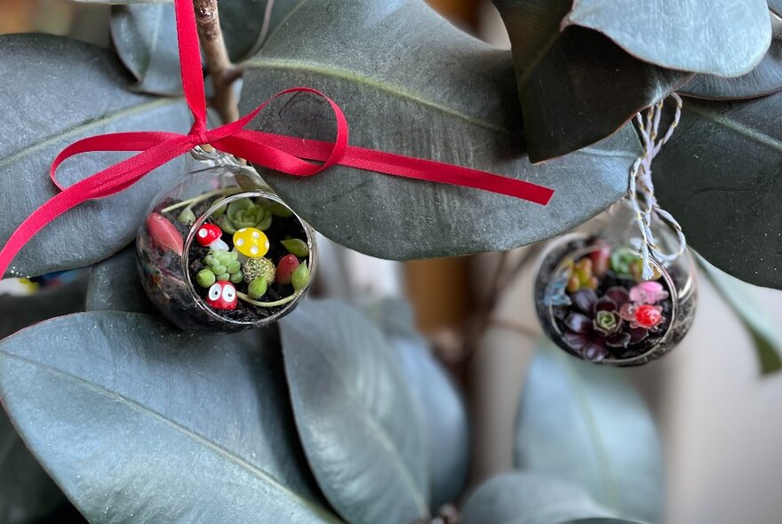 Two hand-crafted Christmas-themed terrariums hanging on a plant. 