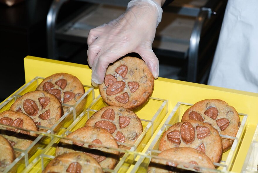 Three rows of cookies in a yellow drawer, a gloved hand taking a cookie out.