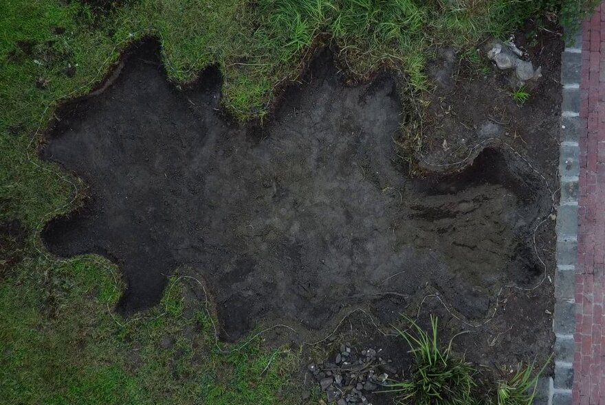 Bird's eye view looking down into a mud filled recessed shape with multiple curved and squiggly edges in a green grassy landscape