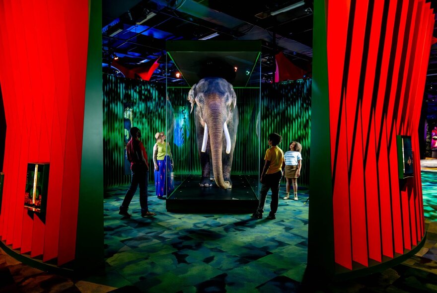Visitors looking at a life‑size elephant model in a glass case at Melbourne Museum