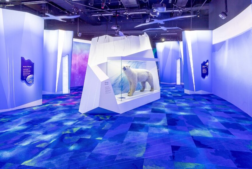 Inside Melbourne Museum's Our Wondrous Planet exhibition showing a polar bear in a glass display that resembles an iceberg. 