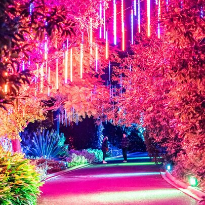 Melbourne’s most Instagrammable experiences