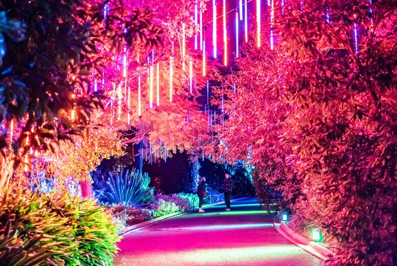 Melbourne’s most Instagrammable experiences