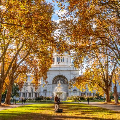 A park avenue with autumn coloured trees and a large white building in the background.