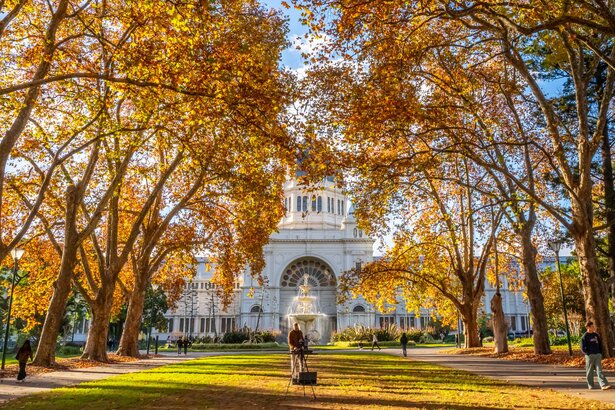 A park avenue with autumn coloured trees and a large white building in the background.