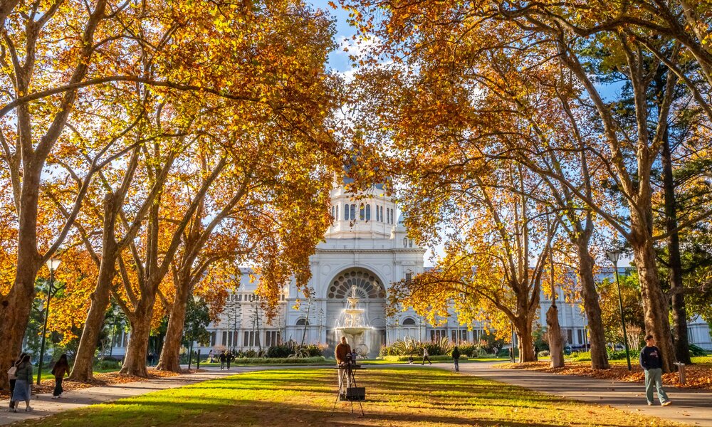 A park avenue with autumn coloured trees and a large white building in the background.