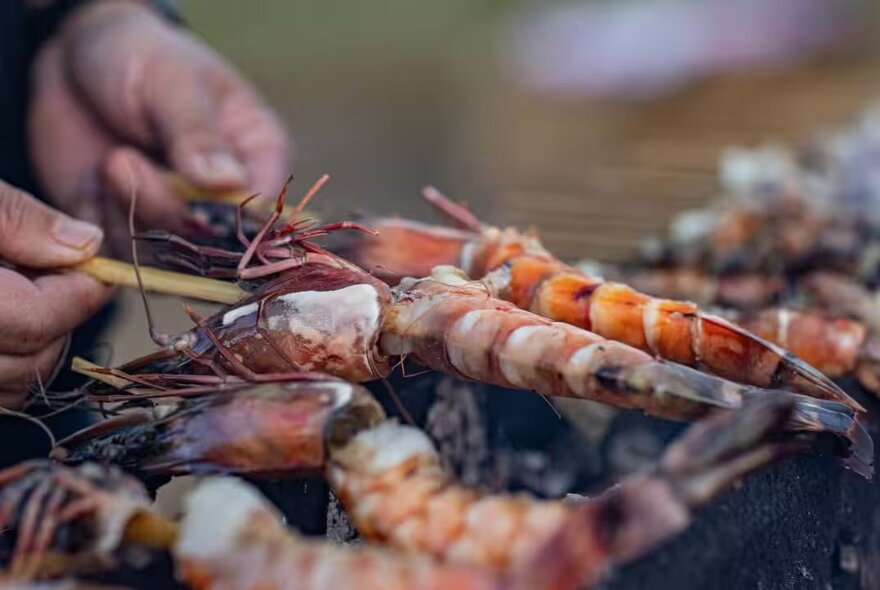 Hands holding skewered prawns over a BBQ.