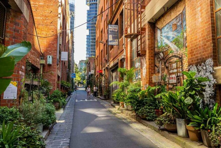 A couple walking down a plant-lined laneway