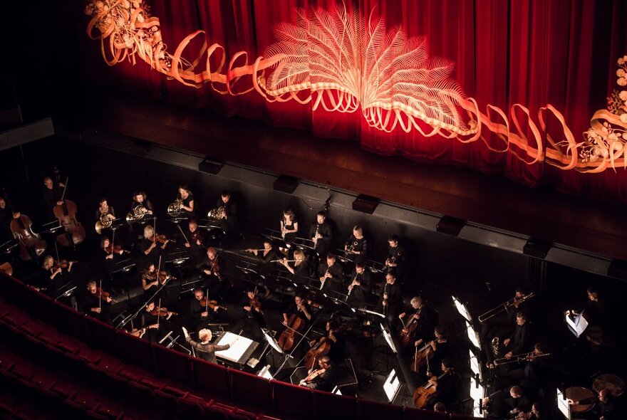 A view of a full orchestra pit from above.
