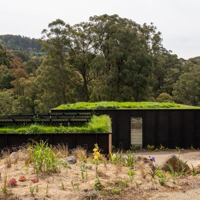 A house with a verdant green rooftop and plantings around and behind it.