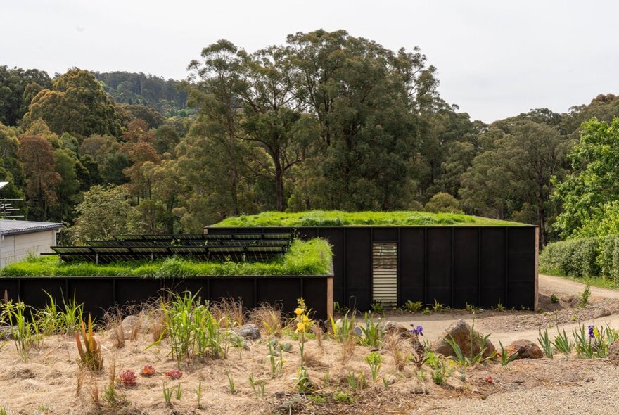 A house with a verdant green rooftop and plantings around and behind it.