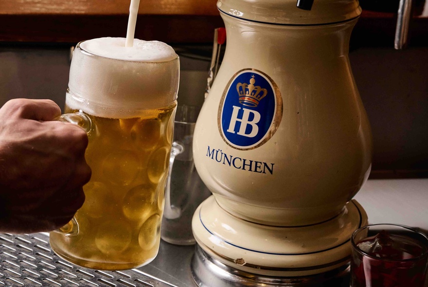 Hand holding a large beer stein under a beer pump.