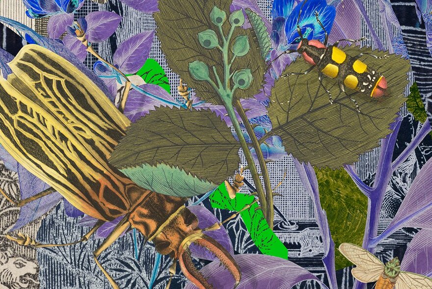 Zine artwork of native flora and insects.