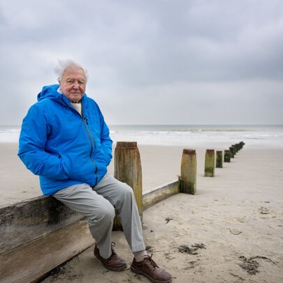 Sir David Attenborough wearing a blue down jacket sitting on an old wooden pylon on a deserted beach on a cloudy day.