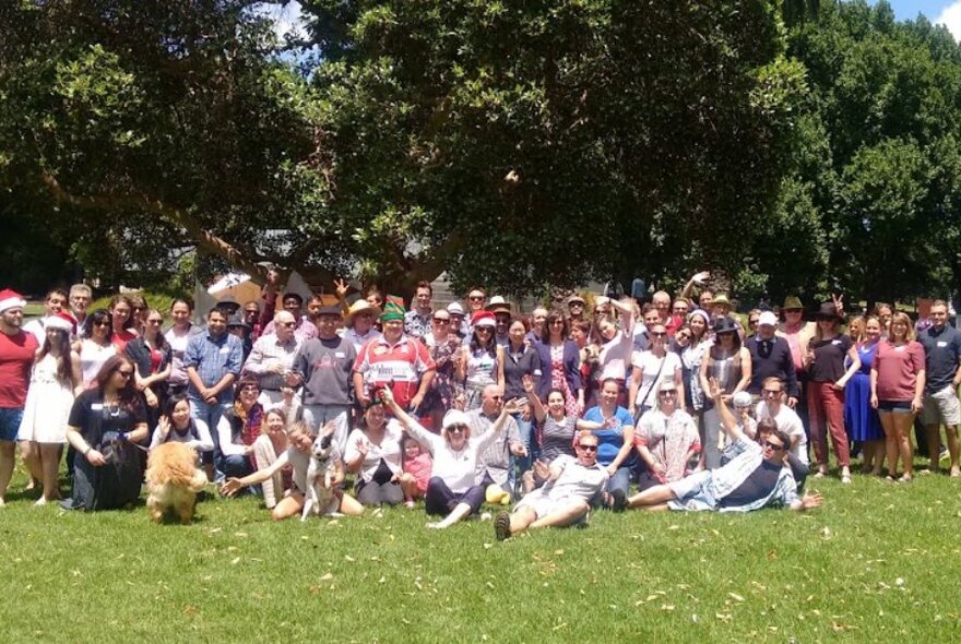 Large group of people sitting and standing on a grassy lawn underneath a large tree.