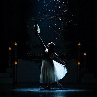 A dramatic stage moment from a production of The Nutcracker ballet, showcasing classic choreography under theatrical lighting.