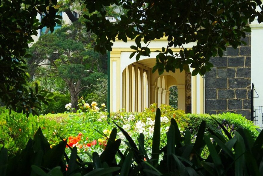 Garden glimpse framed by dark foliage, looking onto rosebeds and stucco portico on bluestone building.