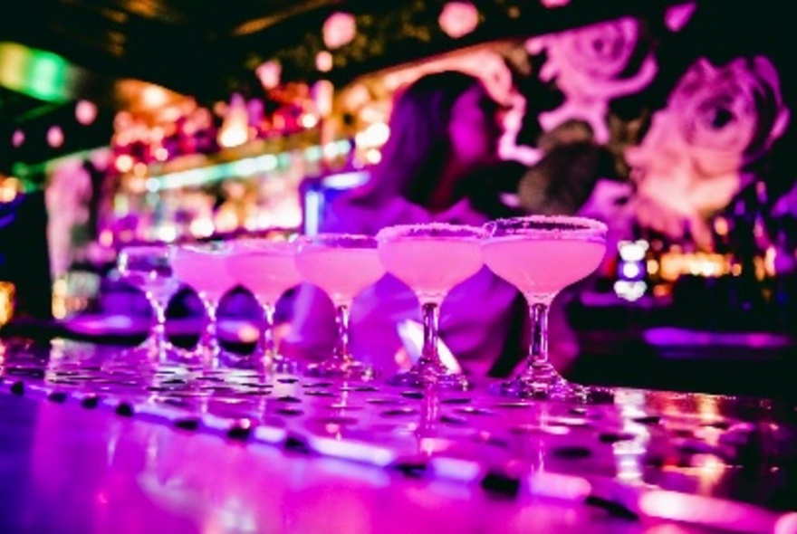 A row of margarita drinks in cocktail glasses lined up on a bar.