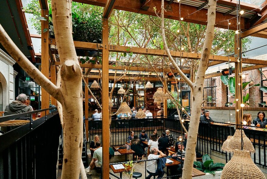 Outdoor bar with trees and fairy lights.