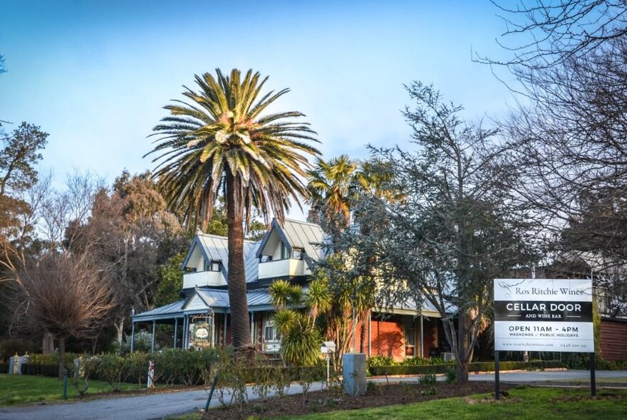 A building at a winery, a Federation style large house, with a garden in front and large palm tree, and a sign saying Cellar Door in the lawn out front.