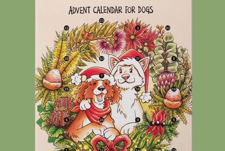 A wall hanging with a cartoon of two dogs on it each wearing a red santa hat and framed by a Christmas wreath, with the words at the top of it reading ADVENT CALENDAR FOR DOGS.