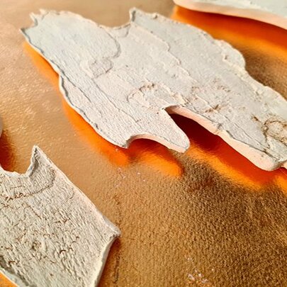 Light grey textured bark fragments placed on a warm, golden-brown metallic or painted surface.