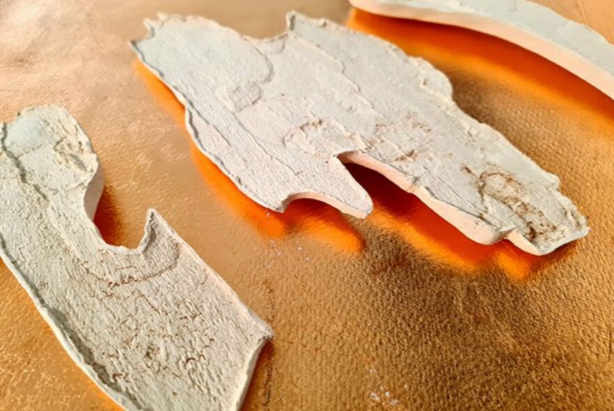 Light grey textured bark fragments placed on a warm, golden-brown metallic or painted surface.