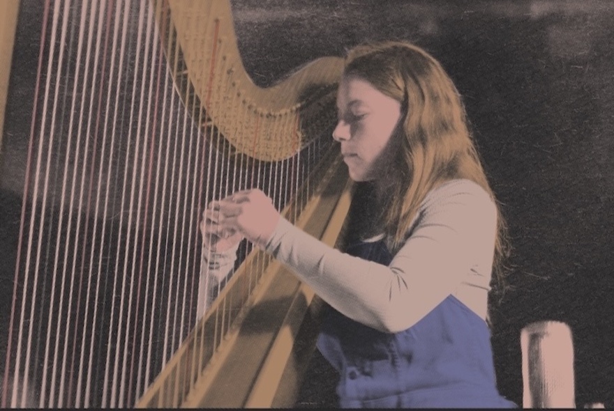 Harpist Katia Mestrovic playing the harp.