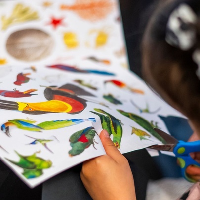 A tight shot of the hands of a child cutting out pictures from paper sheets.