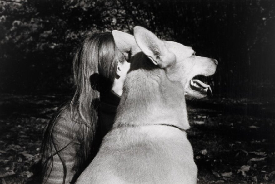 Black and white photograph of a seated dog with a person sitting just behind it.