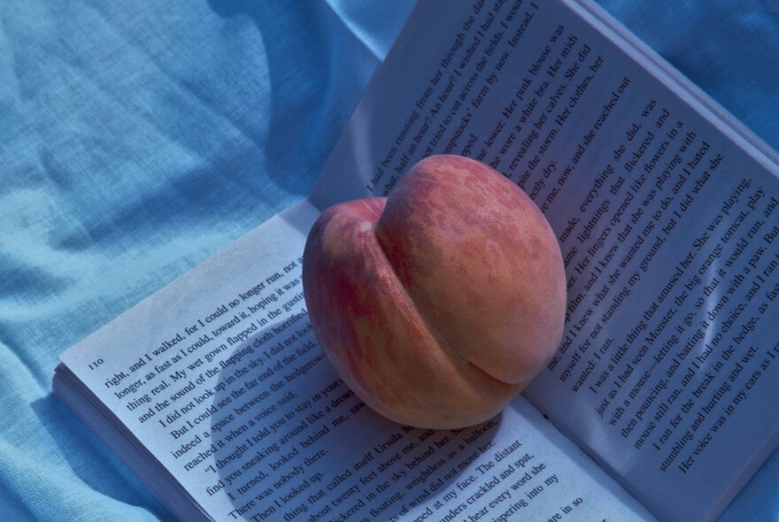A peach resting on an open book.