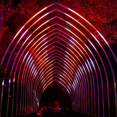 A glowing archway of red lights in a garden at night.