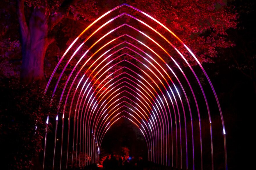 A glowing archway of red lights in a garden at night.