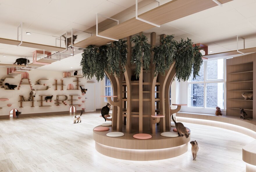 Inside a cat cafe with a central seating area decorated like a tree, cats visible roaming around. 