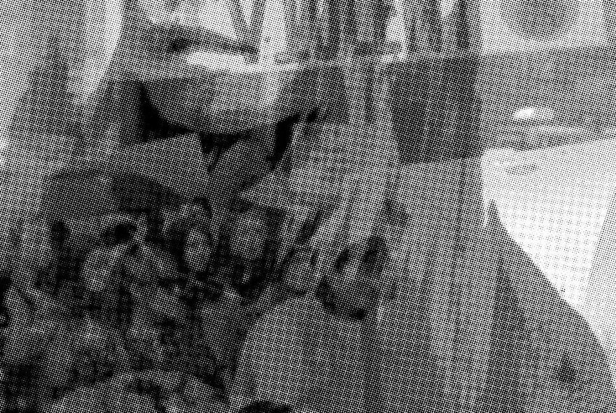 Black and white artwork of a group of protestors, superimposed with the face of a person and an indecipherable placard.