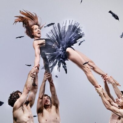 Duck Pond: Swan Lake Gone Wild