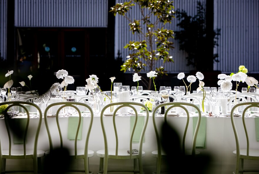 Long table set for dining with green bentwood chairs.