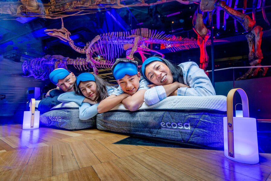 Family Museum Sleepovers