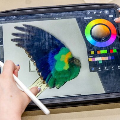 Digital Art Class: Feathered Features