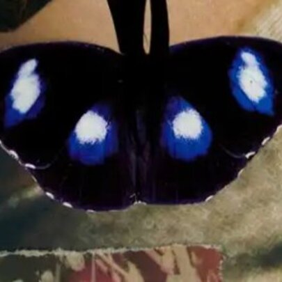 When the Flowers Bloom: Collage Workshop 