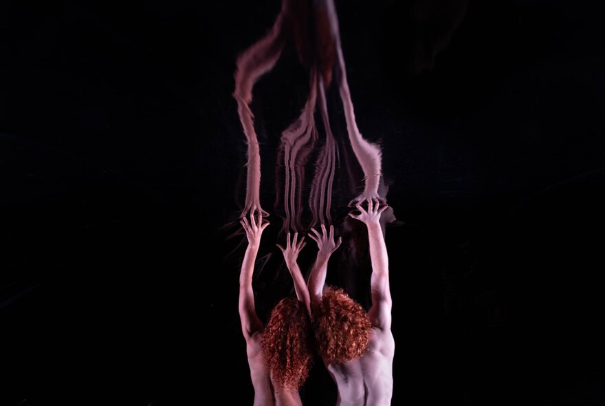 A scene from the contemporary dance work Red by Australian company Dancenorth, featuring two people from the back, with their heads close together and their arms reaching upward into a dark void.