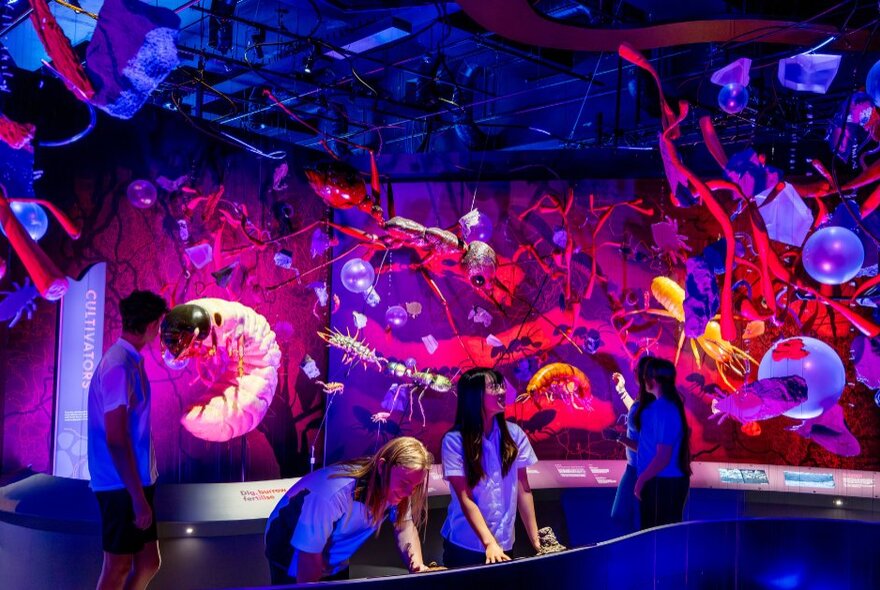 Inside Melbourne Museum's Our Wondrous Planet exhibition showing people interacting with the displays. 