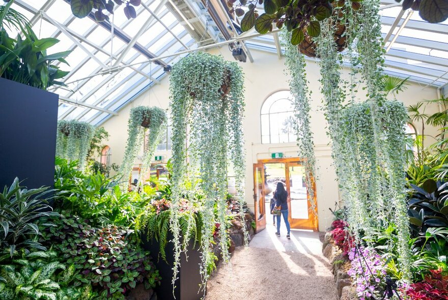 A woman is walking out of a conservatory there are hanging baskets on the ceiling